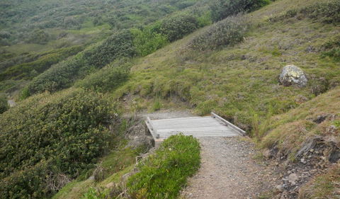 Connors Walking Track - Perths Hotel 2