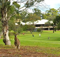 Pambula Merimbula Golf Club - Perths Hotel
