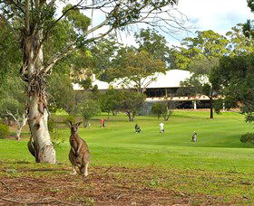 Pambula Merimbula Golf Club - Perths Hotel 0