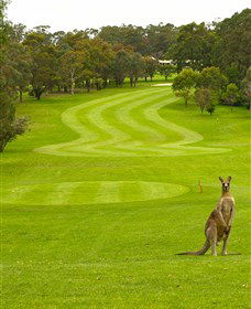 Pambula Merimbula Golf Club - Perths Hotel 2