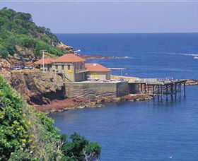 Merimbula Aquarium - Perths Hotel 0