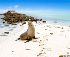 Abrolhos Islands - Perths Hotel 2