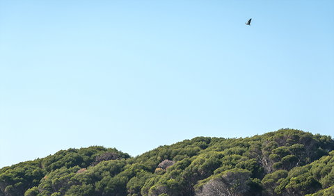 Terrace Beach And Lennards Island - Perths Hotel 1
