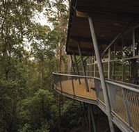 Tarkine Forest Adventures - Dismal Swamp - Perths Hotel