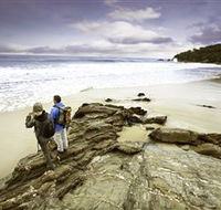 Wilderness Coast Walk - Perths Hotel