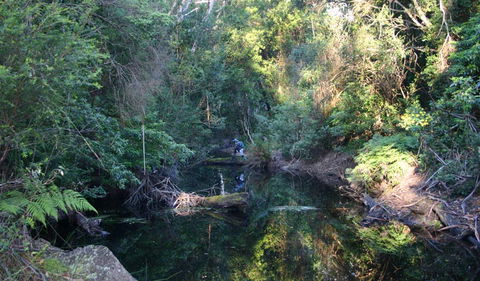 Nadgee Nature Reserve - Perths Hotel 2