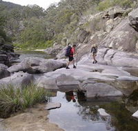 Nadgee Wilderness Walk - Perths Hotel