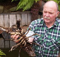 Lobster Ponds - Perths Hotel