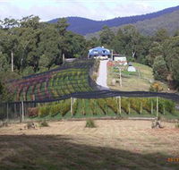 Motton Terraces - Perths Hotel