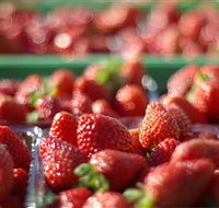 Turners Beach Berry Patch - Perths Hotel