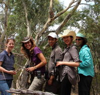 Echidna Walkabout Nature Tours - Perths Hotel