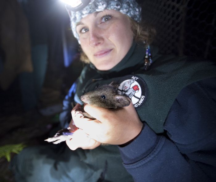 Tidbinbilla ACT Perths Hotel