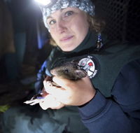 Naturewise at Tidbinbilla - Perths Hotel