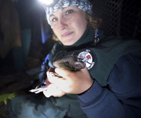 Naturewise At Tidbinbilla - Perths Hotel 0