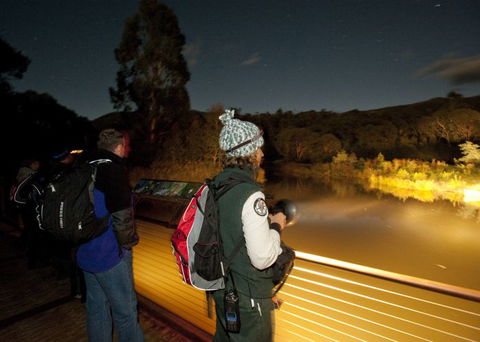 Naturewise At Tidbinbilla - Perths Hotel 1