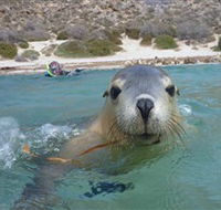 Calypso Star Charters - Perths Hotel