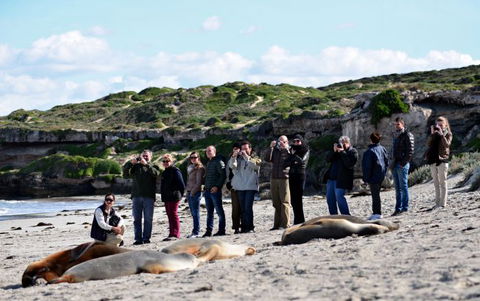 Kangaroo Island Odysseys - Perths Hotel 26