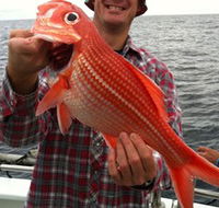 Goin' Off Safaris - Perths Hotel