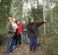 Great Western Tiers Forest Walks Tasmania - Perths Hotel