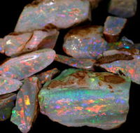 Arid Areas Tours - Perths Hotel