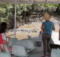 Whitsunday Crocodile Safari - Perths Hotel