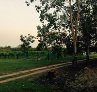 Brierley Wines