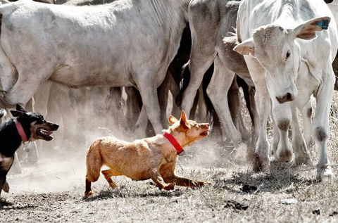 David Hancock Photography - Perths Hotel 2