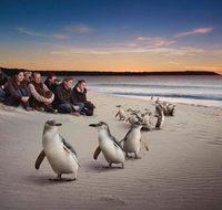 Down Under Thrills - Perths Hotel