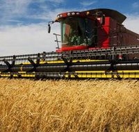 Quirindi Grain and produce - Perths Hotel