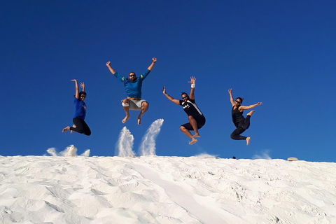 Pinnacles And Yanchep National Park Day Trip From Perth Including Lobster Shack Lunch And Sandboarding - Perths Hotel 1
