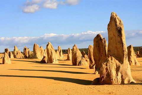 Pinnacles And Yanchep National Park Day Trip From Perth Including Lobster Shack Lunch And Sandboarding - Perths Hotel 0