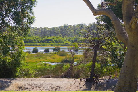 Pinnacles And Yanchep National Park Day Trip From Perth Including Lobster Shack Lunch And Sandboarding - Perths Hotel 10
