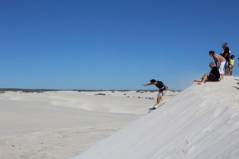 Pinnacles And Yanchep National Park Day Trip From Perth Including Lobster Shack Lunch And Sandboarding - Perths Hotel 4