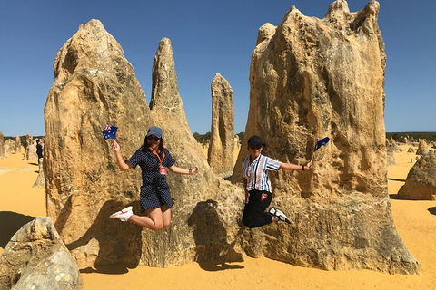 Pinnacles And Yanchep National Park Day Trip From Perth Including Lobster Shack Lunch And Sandboarding - Perths Hotel 2