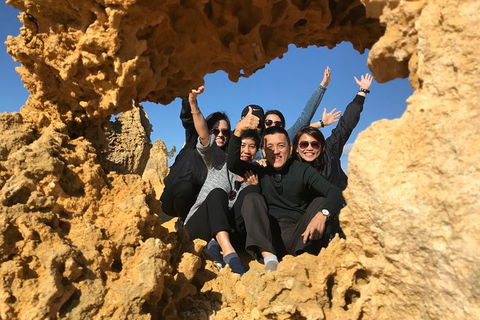 Pinnacles And Yanchep National Park Day Trip From Perth Including Lobster Shack Lunch And Sandboarding - Perths Hotel 5