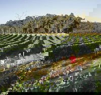 Margaret River Caves Wine and Cape Leeuwin Lighthouse Tour from Perth - Perths Hotel