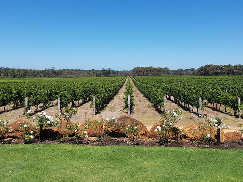Margaret River Food, Wine & Sightseeing Tour From Perth - Perths Hotel 5