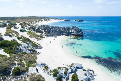 Rottnest Island Tour From Perth Or Fremantle Including Bus Tour - Perths Hotel 7
