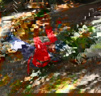 Trees Adventure Lane Poole Park - Treetop  Zipline Experience - Perths Hotel