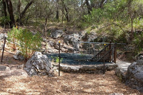 Ngilgi Cave Semi-guided Tour - Perths Hotel 7