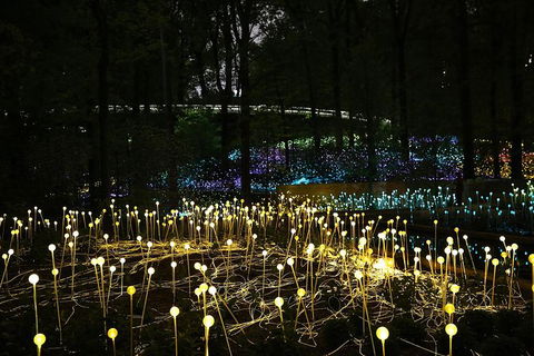 National Anzac Centre Field Of Light Panorama Pass - Perths Hotel 0