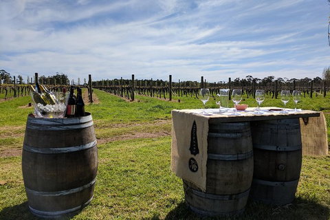 Margaret River Small-Group Full-Day Wine & Food Tour - Perths Hotel 4