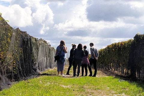 Margaret River Small-Group Full-Day Wine & Food Tour - Perths Hotel 5