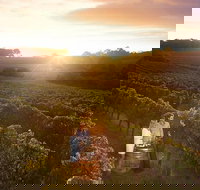 Leeuwin Estate Food and Wine Experience - Perths Hotel