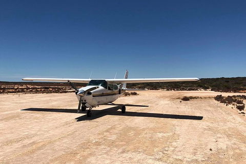 Kalbarri Gorges & West Coast - Ground & Air Tour - Perths Hotel 6