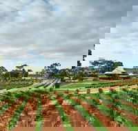 Vasse Felix Winery Tour and Tasting - Perths Hotel