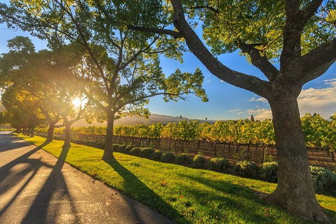 VIP Swan Valley Wine Tour - Premium Small Group Wine & Gourmet Experience - Perths Hotel 1