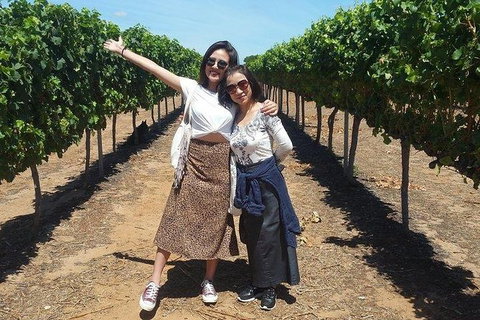 VIP Swan Valley Wine Tour - Premium Small Group Wine & Gourmet Experience - Perths Hotel 3