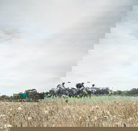 Electric Bike Winery and Brewery Tour - Perths Hotel