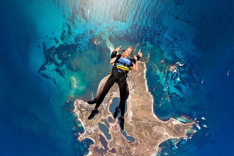 Rottnest Skydive + Hillarys Ferry Package - Perths Hotel 6